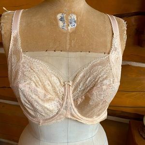 Panache Clara bra Women's 38-E lace nude cream sheer lace like new condition